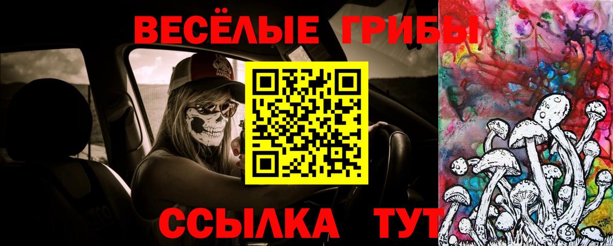 Галлюциногенные грибы ЛСД Пугачёв